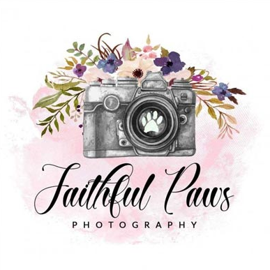 Faithful paws photography