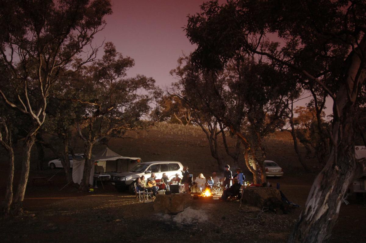 Camping at Skytrek Willow Springs