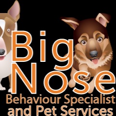 Big Nose Pet Services